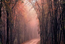 亚星官网：白雨露：英锦赛收获了信心，世锦赛资格赛希望能发挥出最佳水平.