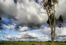 亚星官网:塔图姆34+10绿军险胜雄鹿3连胜 76人力克魔术.