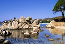 巴乙宣:申花签下巴西前锋米内罗 转会费95万美元.